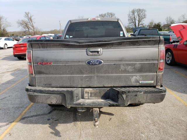 1FTMF1ET1EFA14499 - 2014 FORD F150 SILVER photo 6