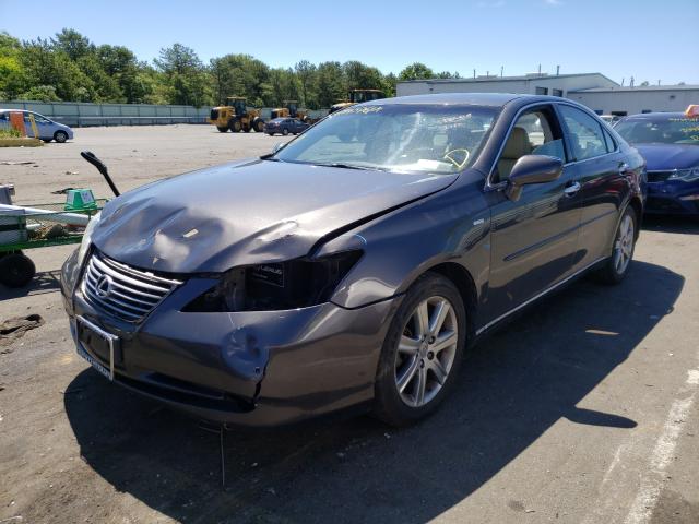 JTHBJ46G482234125 - 2008 LEXUS ES 350 GRAY photo 2