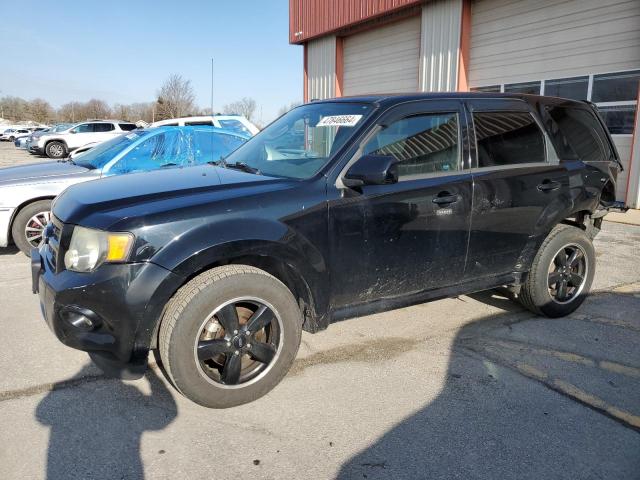 2010 FORD ESCAPE XLT, 