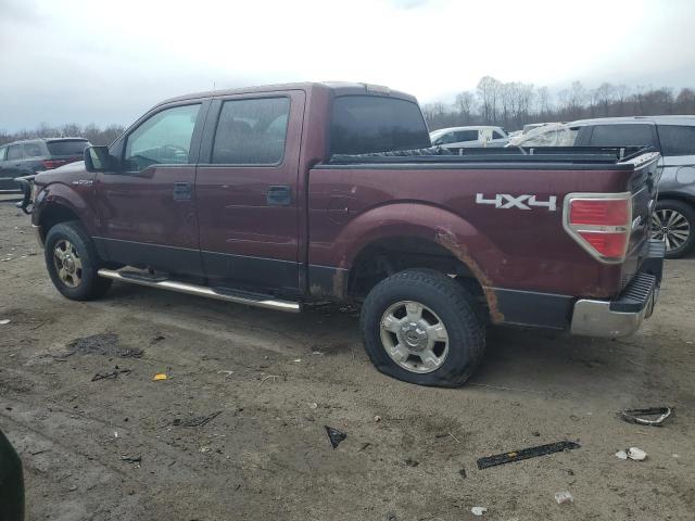 1FTFW1EV5AFC83013 - 2010 FORD F150 SUPERCREW BURGUNDY photo 2