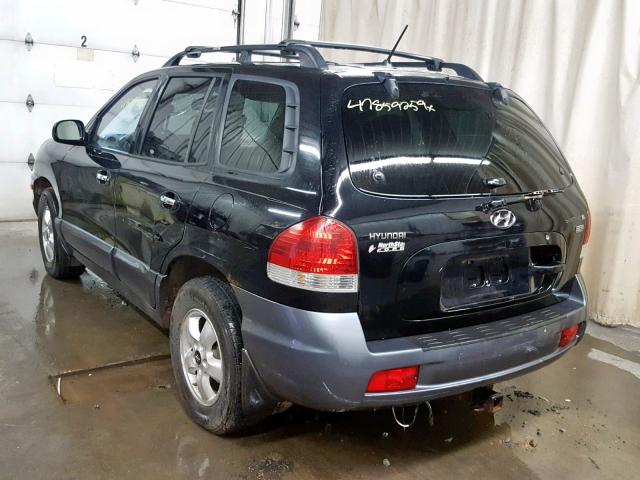 KM8SC13E15U997342 - 2005 HYUNDAI SANTA FE GLS  photo 3