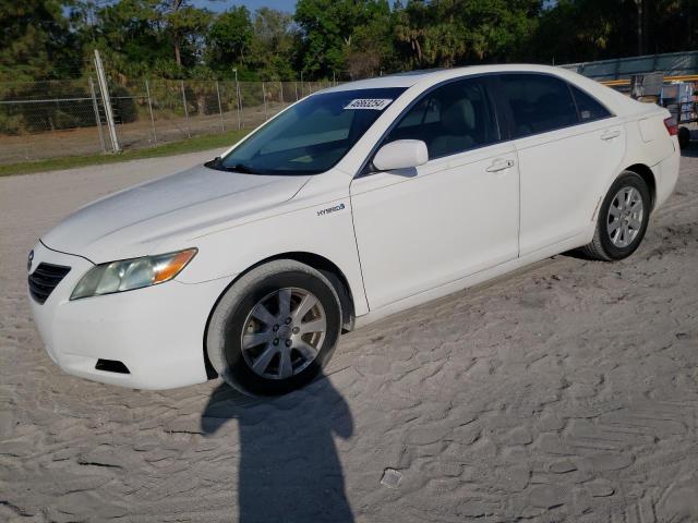 4T1BB46K48U053612 - 2008 TOYOTA CAMRY HYBRID WHITE photo 1