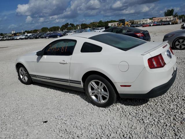 1ZVBP8AN9A5176768 - 2010 FORD MUSTANG WHITE photo 2