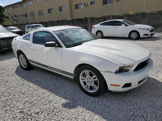 1ZVBP8AN9A5176768 - 2010 FORD MUSTANG WHITE photo 4