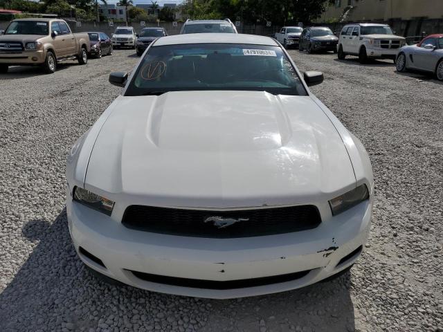 1ZVBP8AN9A5176768 - 2010 FORD MUSTANG WHITE photo 5