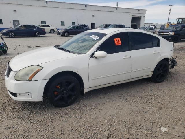 1N4BA41E96C836457 - 2006 NISSAN MAXIMA SE WHITE photo 1