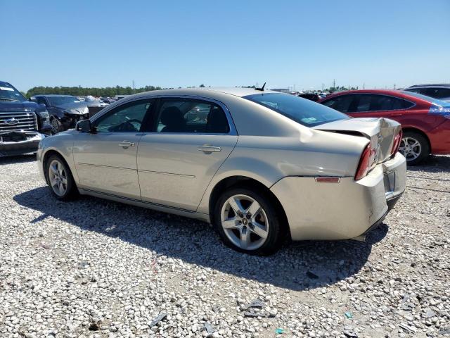 1G1ZC5EB0AF141597 - 2010 CHEVROLET MALIBU 1LT 米色 照片 2