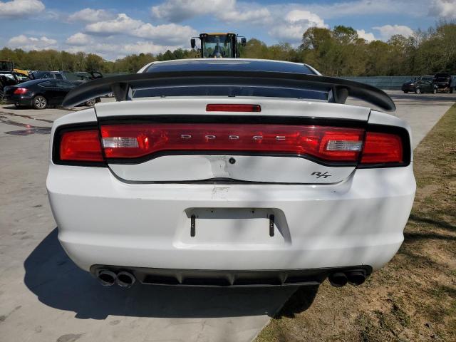 2C3CDXAT5EH367471 - 2014 DODGE CHARGER POLICE WHITE photo 6