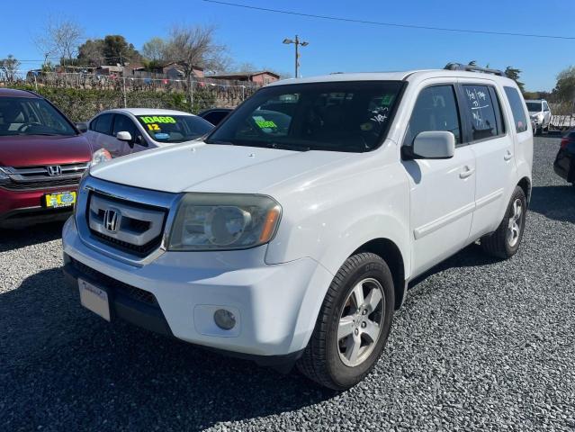 5FNYF48509B028839 - 2009 HONDA PILOT EXL WHITE photo 2