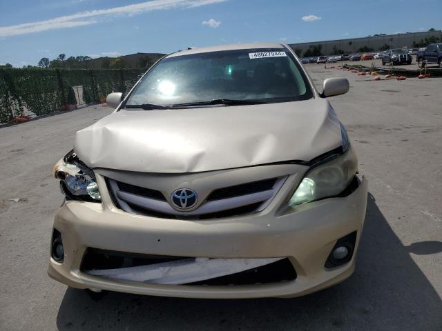 JTDBU4EE4B9149096 - 2011 TOYOTA COROLLA BASE GOLD photo 5