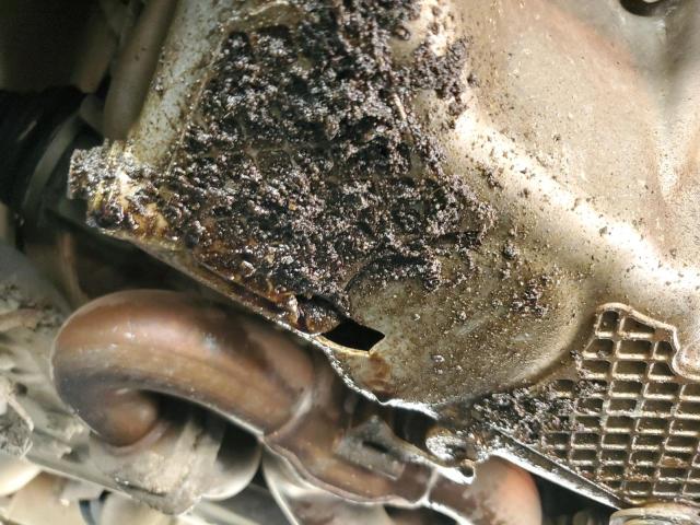 3C6LRVDG7NE125221 - 2022 RAM PROMASTER 2500 HIGH WHITE photo 13