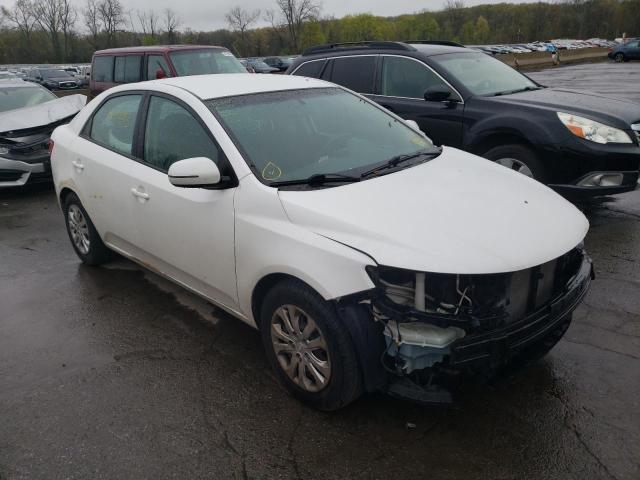 KNAFU4A24C5553597 - 2012 KIA FORTE EX WHITE photo 4