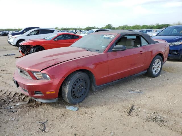 1ZVBP8EMXB5101127 - 2011 FORD MUSTANG RED photo 1