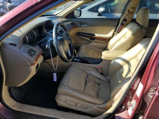 1HGCP26838A062520 - 2008 HONDA ACCORD EXL BURGUNDY photo 7