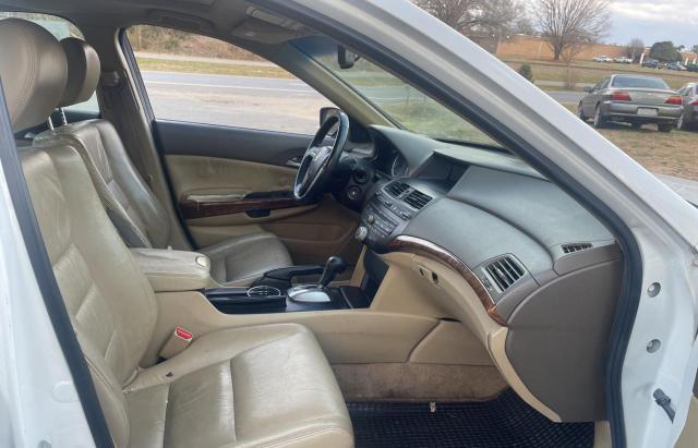 5KBCP3F87AB005983 - 2010 HONDA ACCORD EXL WHITE photo 5