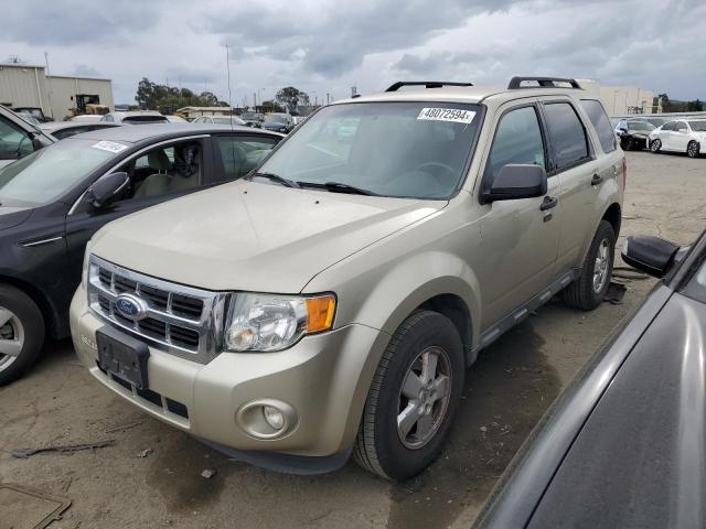 2011 FORD ESCAPE XLT, 