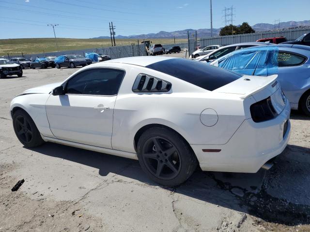 1ZVBP8AM3D5264940 - 2013 FORD MUSTANG WHITE photo 2