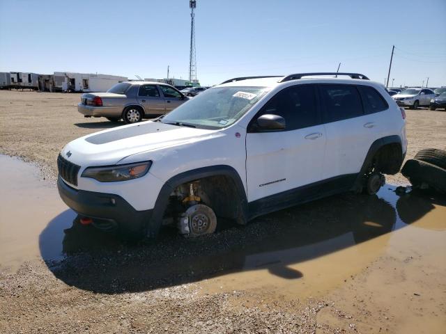 1C4PJMBX7KD140054 - 2019 JEEP CHEROKEE TRAILHAWK WHITE photo 1