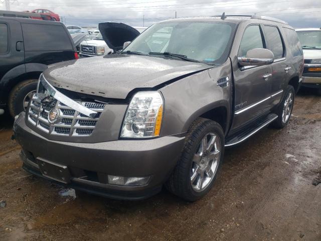 2013 CADILLAC ESCALADE LUXURY, 