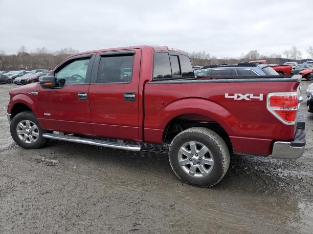 1FTFW1ET1DFC38279 - 2013 FORD F150 SUPERCREW RED photo 2