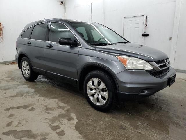 5J6RE3H31AL042020 - 2010 HONDA CR-V LX GRAY photo 4