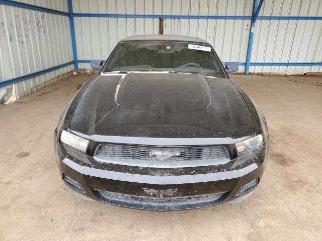 1ZVBP8EN1A5122424 - 2010 FORD MUSTANG BLACK photo 5