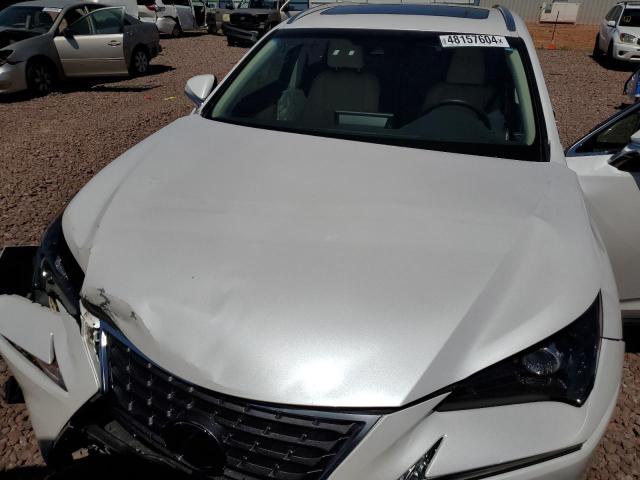 JTJBJRBZ9K2109616 - 2019 LEXUS NX 300H WHITE photo 11