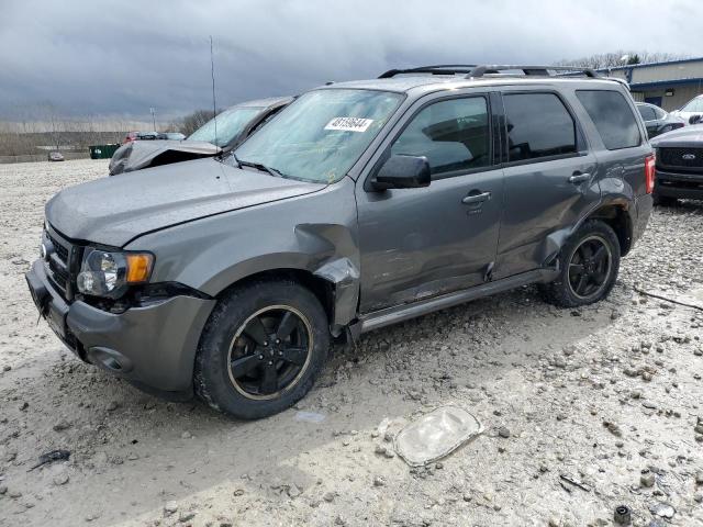 2011 FORD ESCAPE XLT, 