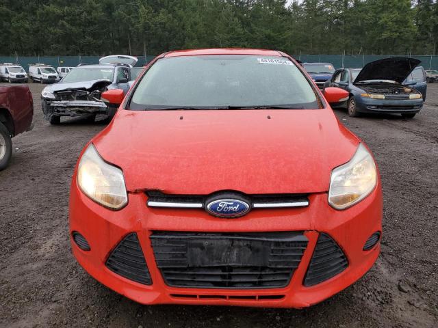 1FADP3K25DL355432 - 2013 FORD FOCUS SE RED photo 5