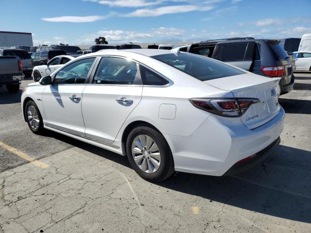 KMHE24L12GA012243 - 2016 HYUNDAI SONATA HYBRID WHITE photo 2