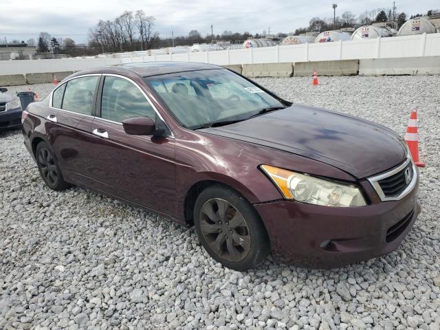 5KBCP3F8XAB017349 - 2010 HONDA ACCORD EXL MAROON photo 4