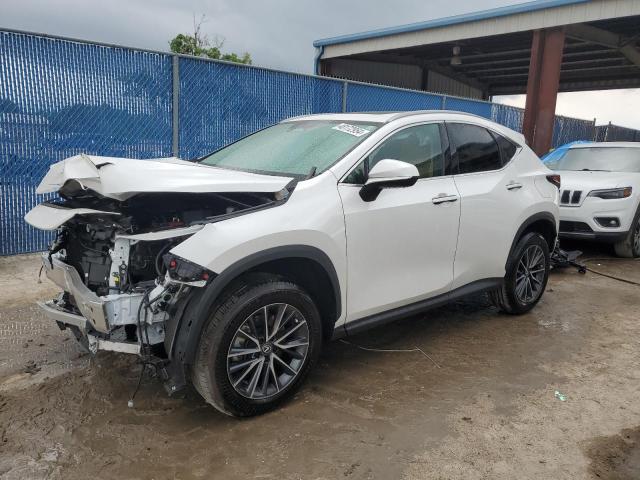 2024 LEXUS NX 250 PREMIUM, 