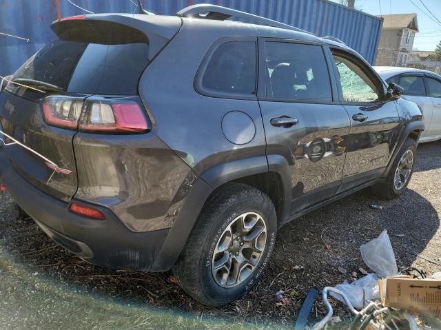 1C4PJMBX3LD500213 - 2020 JEEP CHEROKEE TRAILHAWK GRAY photo 4