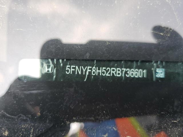 5FNYF8H52RB020345 - 2024 HONDA PASSPORT EXL رمادي صورة 13