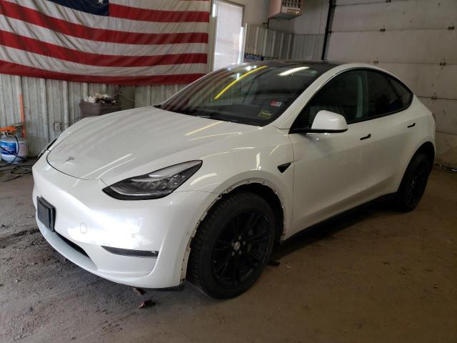 2021 TESLA MODEL Y, null