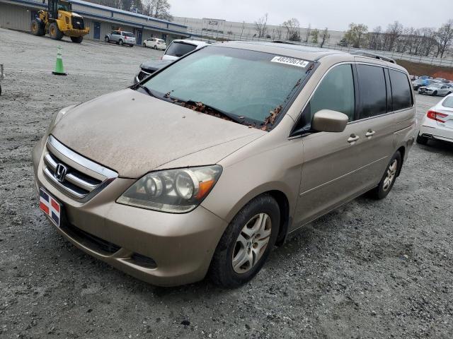 5FNRL38746B412773 - 2006 HONDA ODYSSEY EXL BEIGE photo 1