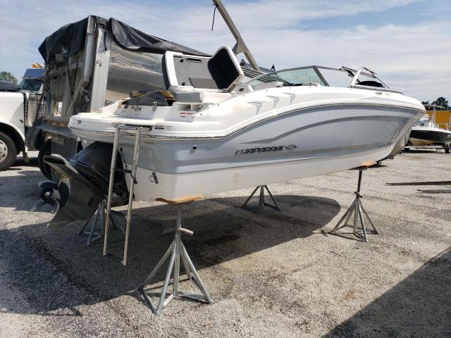 FGBV0252L819 - 2019 CHAP BOAT 双色 照片 3