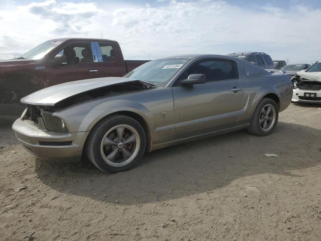 1ZVHT80N595128588 - 2009 FORD MUSTANG SILVER photo 1