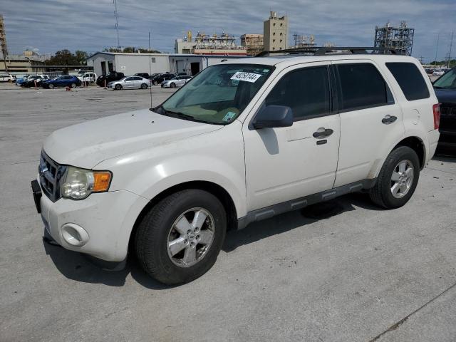 2009 FORD ESCAPE XLT, 