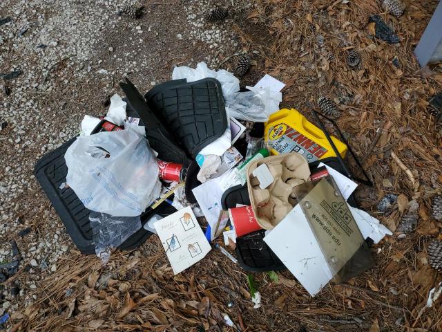 1G11C5SA9GF158495 - 2016 CHEVROLET MALIBU LIM LT 红色 照片 12