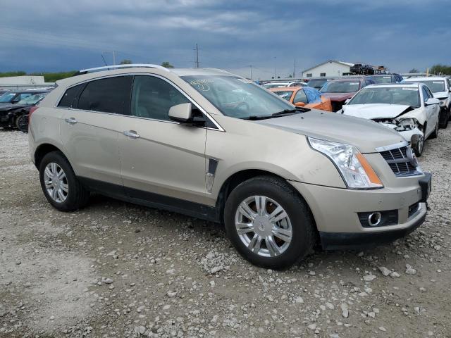 3GYFNDE37CS621670 - 2012 CADILLAC SRX LUXURY COLLECTION GOLD photo 4