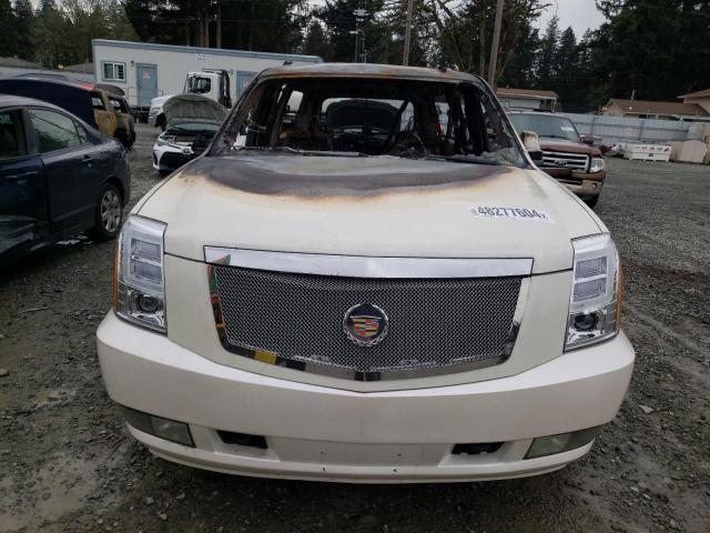 1GYFK16269R152287 - 2009 CADILLAC ESCALADE ESV WHITE photo 5