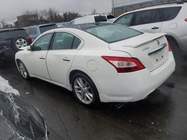 1N4AA5AP3AC811579 - 2010 NISSAN MAXIMA S WHITE photo 2