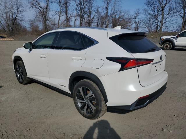 JTJGJRDZ8L5005122 - 2020 LEXUS NX 300H WHITE photo 2