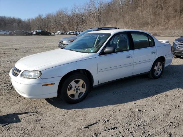 1G1ND52F14M592489 - 2004 CHEVROLET MALIBU 1LT WHITE photo 1