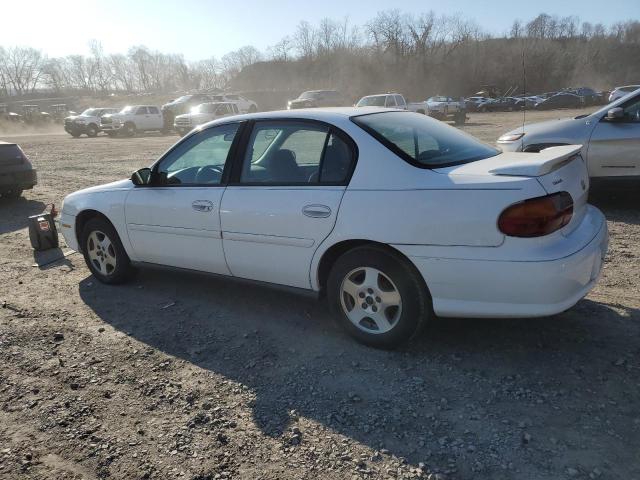 1G1ND52F14M592489 - 2004 CHEVROLET MALIBU 1LT WHITE photo 2