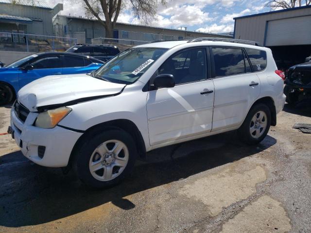 JTMZF4DV7AD017049 - 2010 TOYOTA RAV4 WHITE photo 1