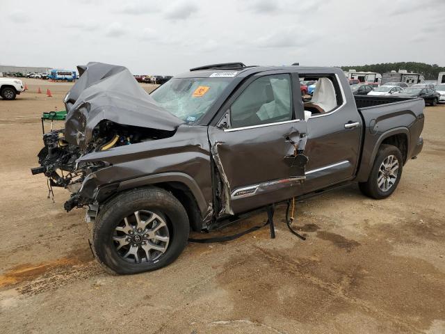 5TFMA5DB6SX240543 - 2025 TOYOTA TUNDRA CREWMAX PLATINUM GRAY photo 1