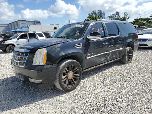 2010 CADILLAC ESCALADE ESV PLATINUM, 