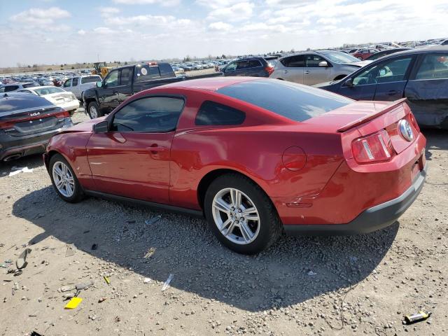 1ZVBP8AN4A5155827 - 2010 FORD MUSTANG RED photo 2